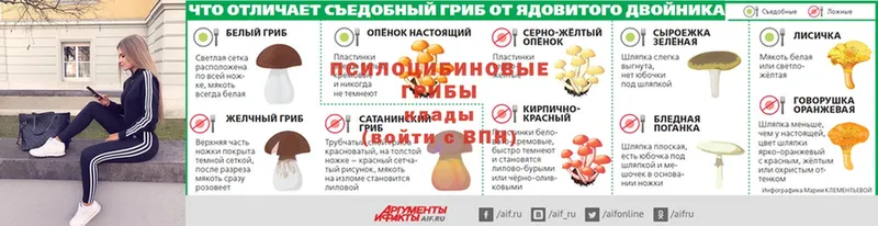 Псилоцибиновые грибы Psilocybe  Боровск 